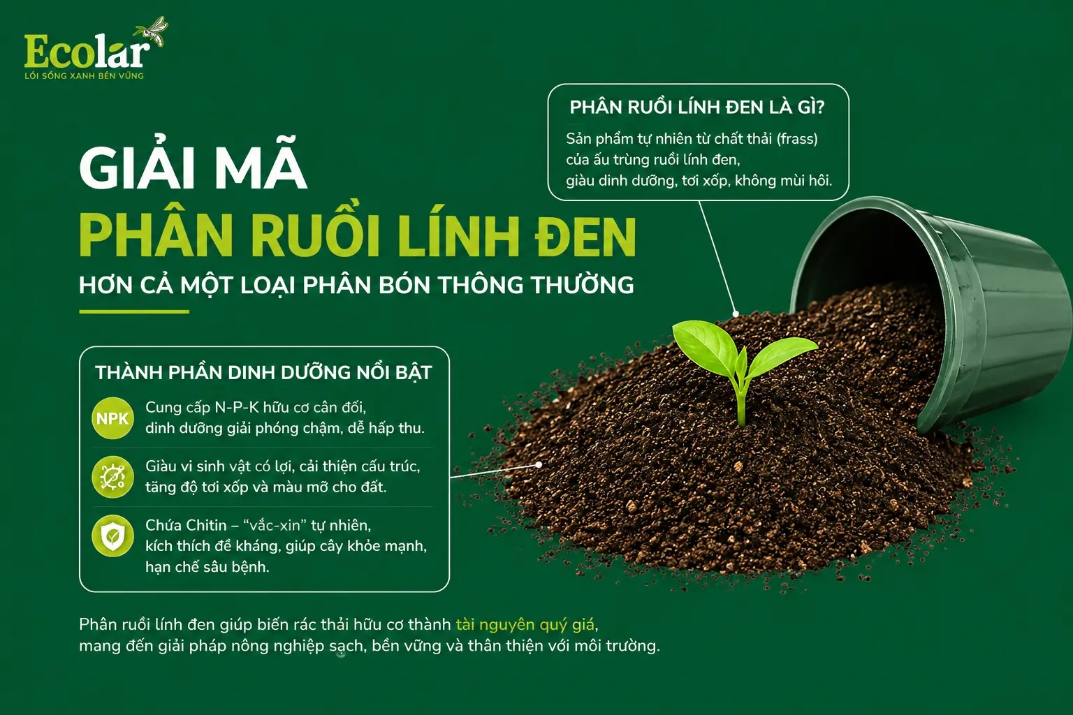 hon-ca-mot-loai-phan-bon-thong-thuong_557b8523c34148b58338ce8d3a76848b.webp