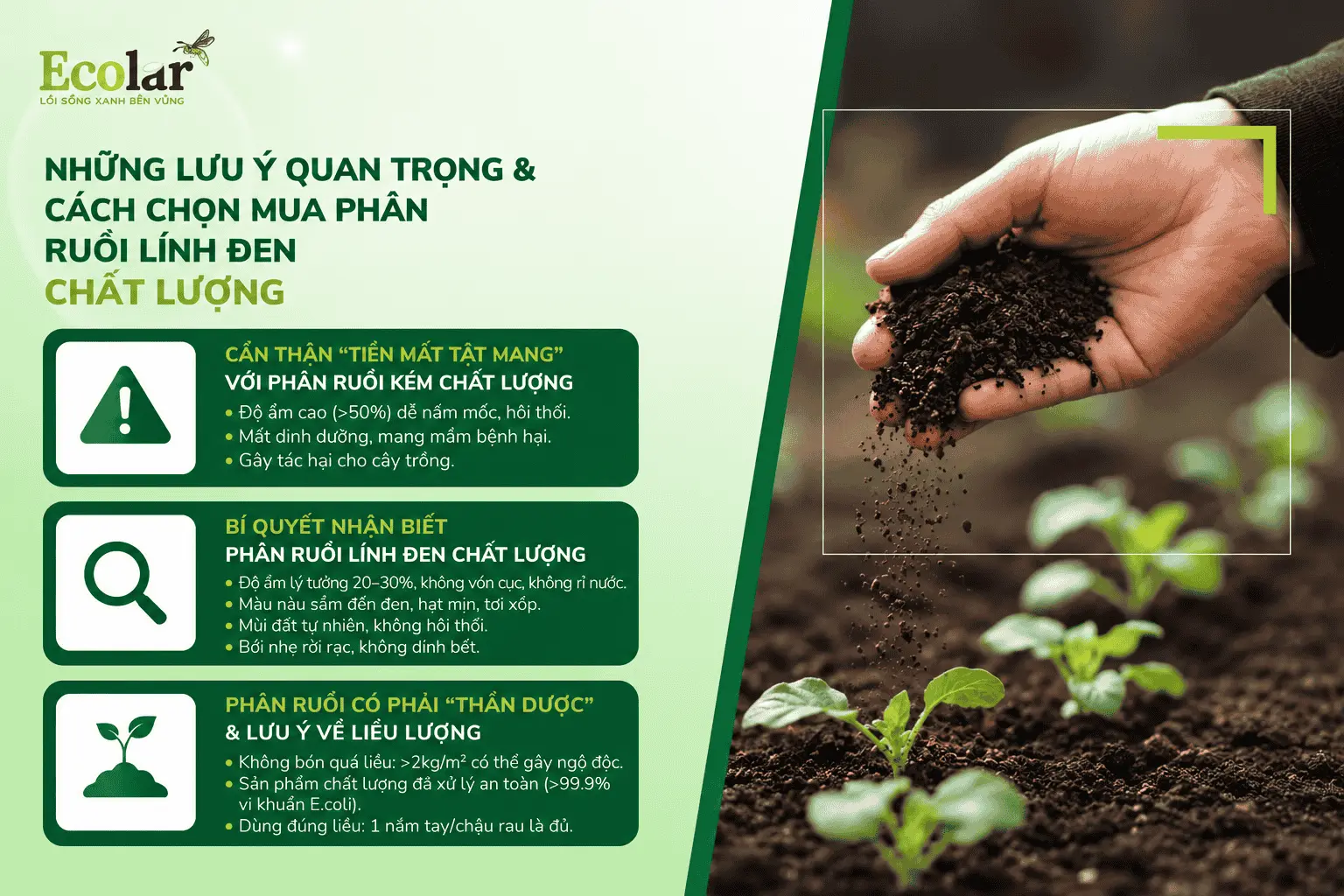 hon-mua-phan-ruoi-linh-den-chat-luong_98cbd04fdc4d43f794619785949f6759 (1).webp