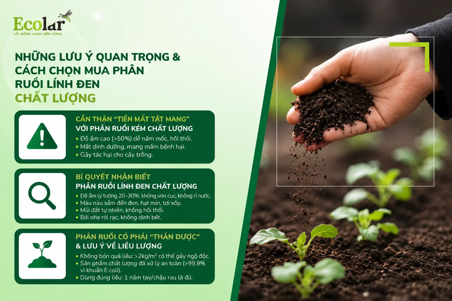 hon-mua-phan-ruoi-linh-den-chat-luong_98cbd04fdc4d43f794619785949f6759.webp