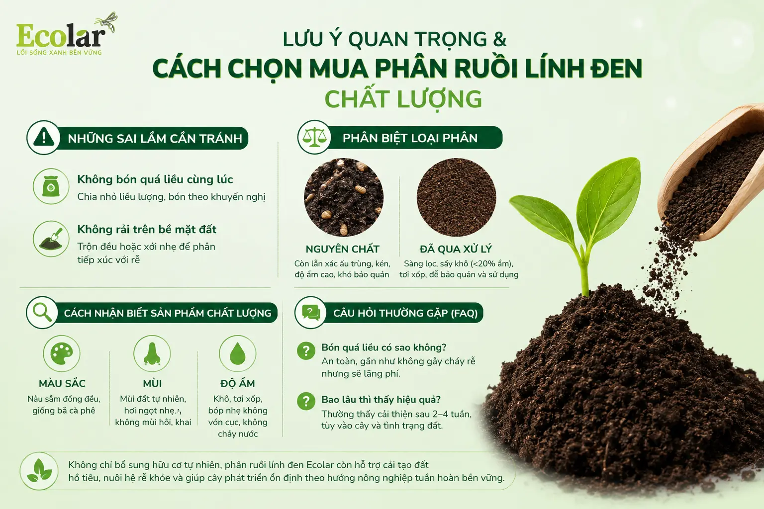 hon-mua-phan-ruoi-linh-den-chat-luong_a7fabb8e6d89432383f9d834594b4488.webp