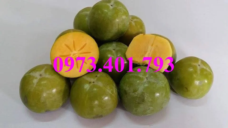 hồng giòn5_result.webp