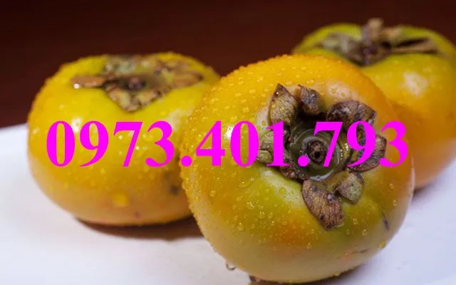 hồng giòn8_result.webp