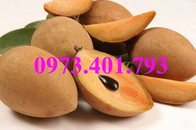 hông sim11_result.webp