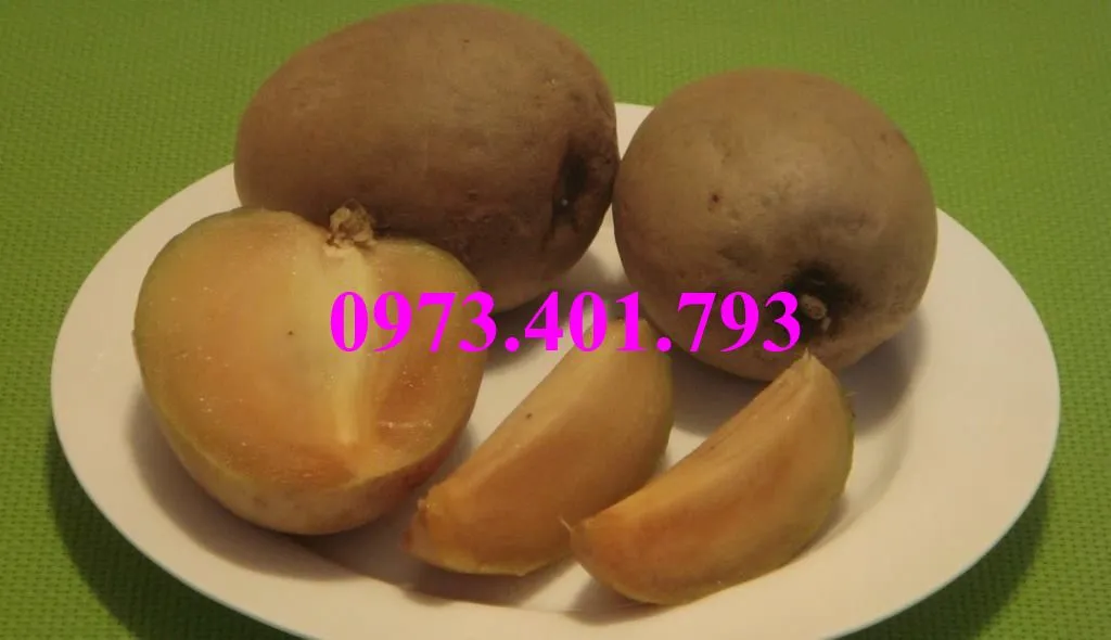 hông sim1_result.webp