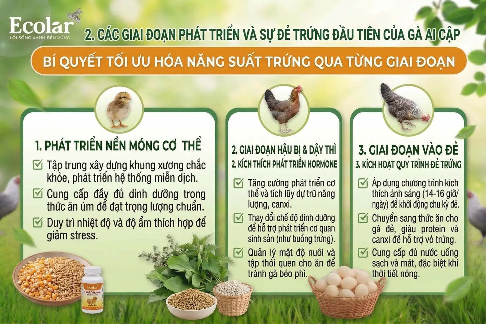 huong-den-thoi-gian-de-trung-dau-tien_1d18df2a42f94de1b9ee735524f3927c.webp