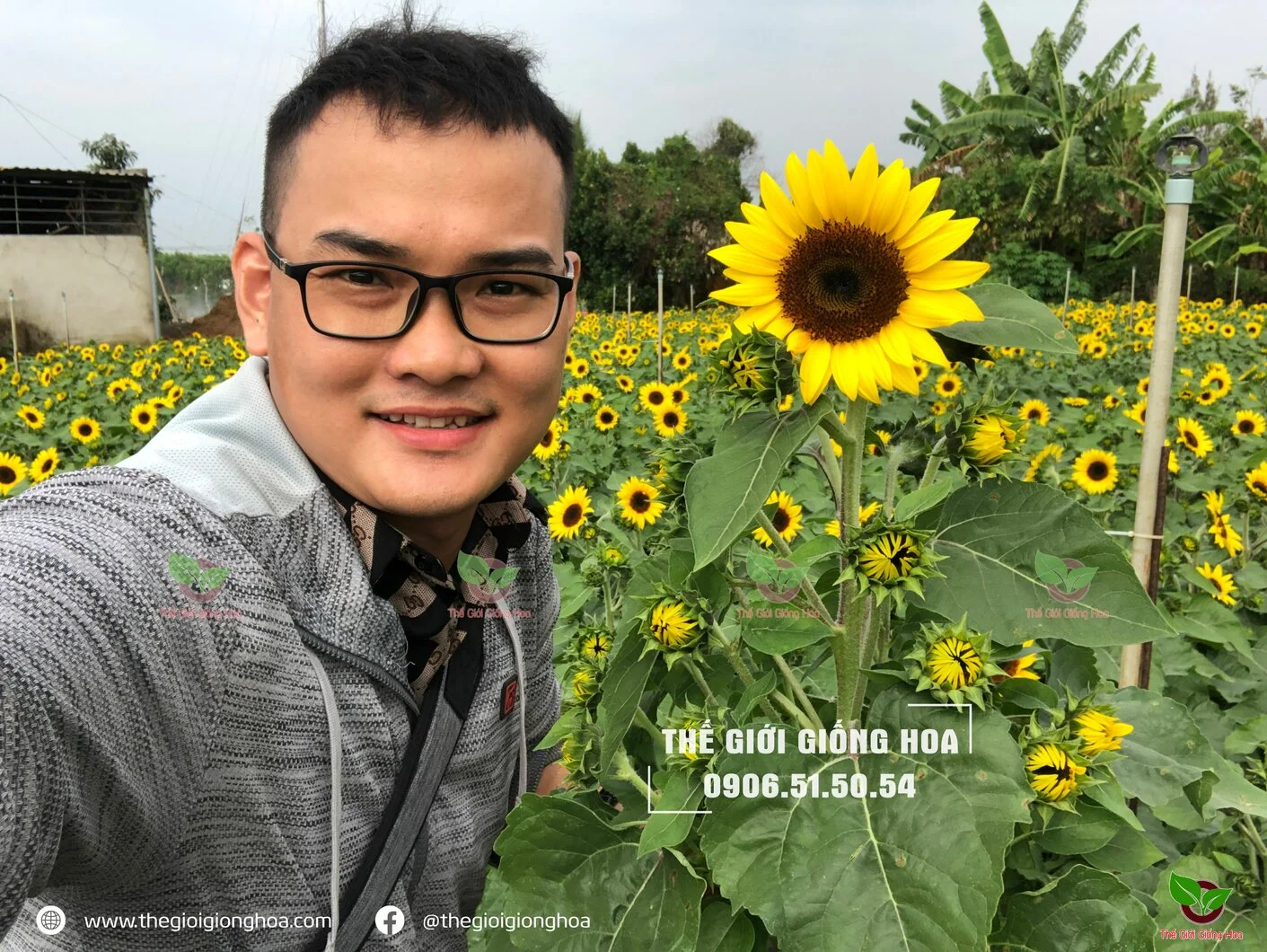 Huong Duong Lun 1.jpg