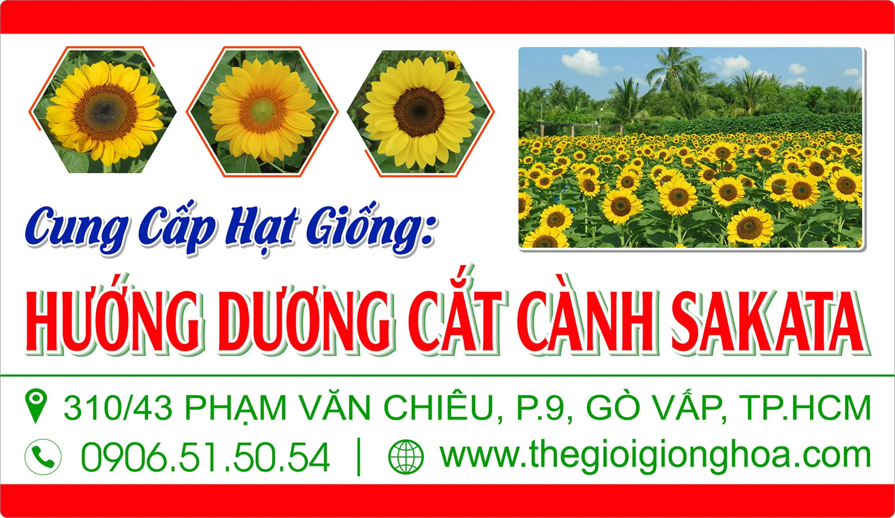 HUONG DUONG SAKATA 2019.webp