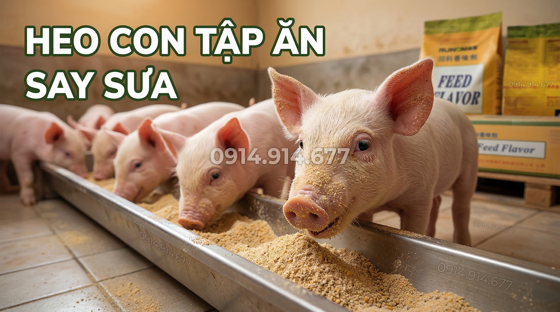 Hương Sữa Bánh Quy HRL (Feed Flavor) M-5.webp