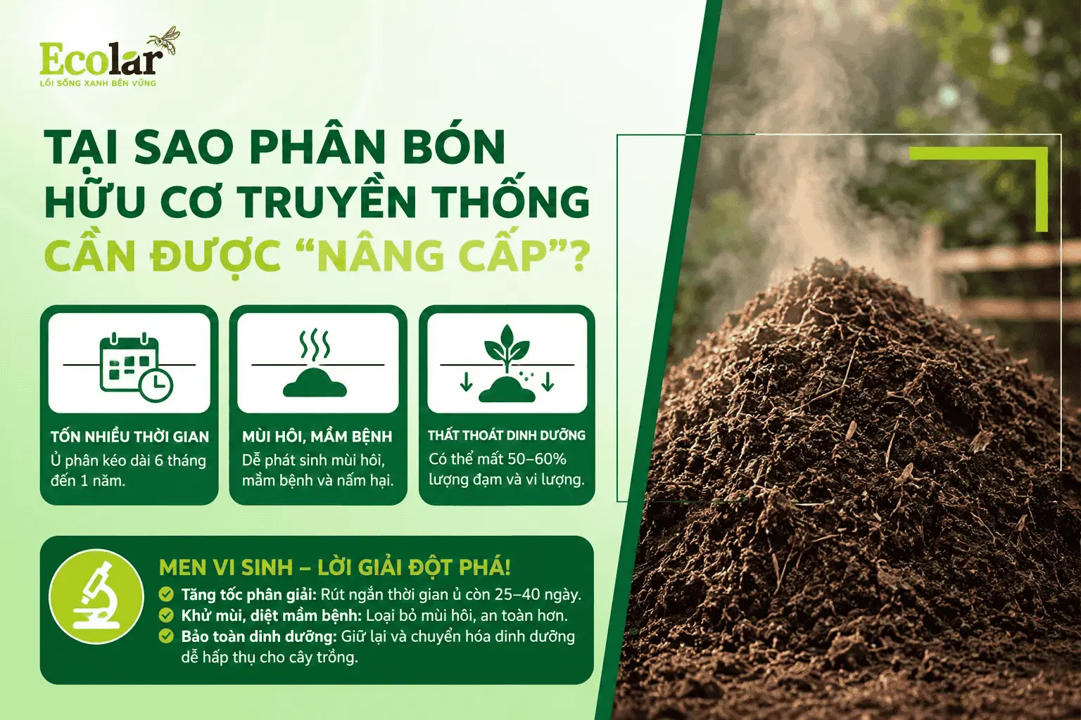 huu-co-truyen-thong-can-duoc-nang-cap_7cd559e39f254a5b8a657b3e40182548 (1).webp