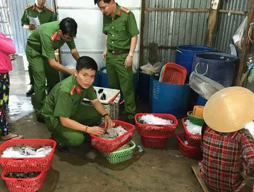 Chống bơm tạp chất vào tôm: Cần xử lý cứng rắn để hạ nhiệt