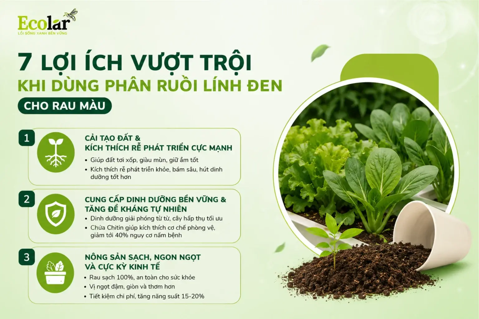 i-dung-phan-ruoi-linh-den-cho-rau-mau_bbd405ea7af3476191245386a277a95d.webp