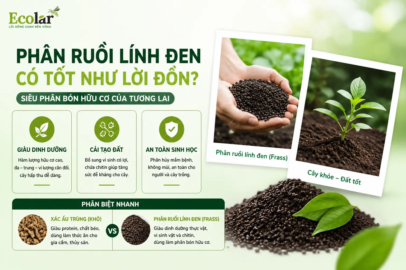 i-linh-den-co-thuc-su-tot-nhu-loi-don_d98689e3890247348f0759b3018a8a26.webp
