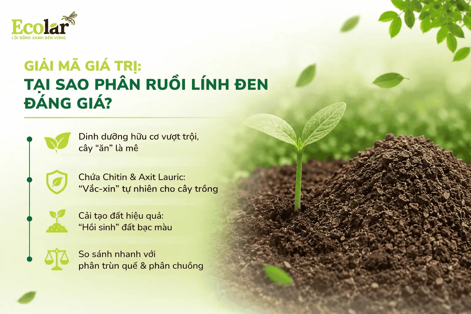 i-tai-sao-phan-ruoi-linh-den-dang-gia_bf82d760dedd4c1b950ce78b4784f740 (1).webp