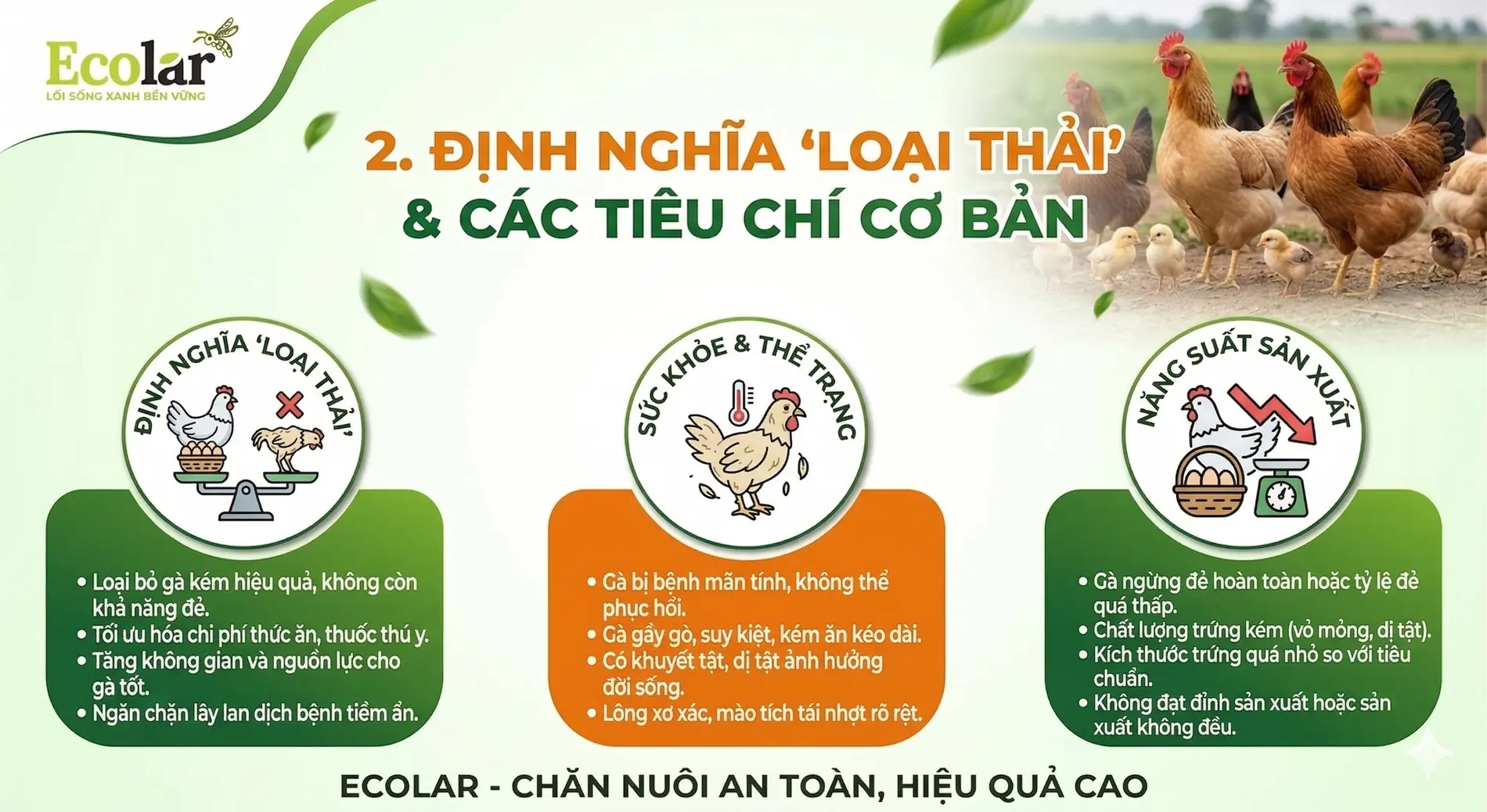 i-thai-va-cac-tieu-chi-co-ban-can-xet_b0b55904797b48e8b93697942c05758b.webp