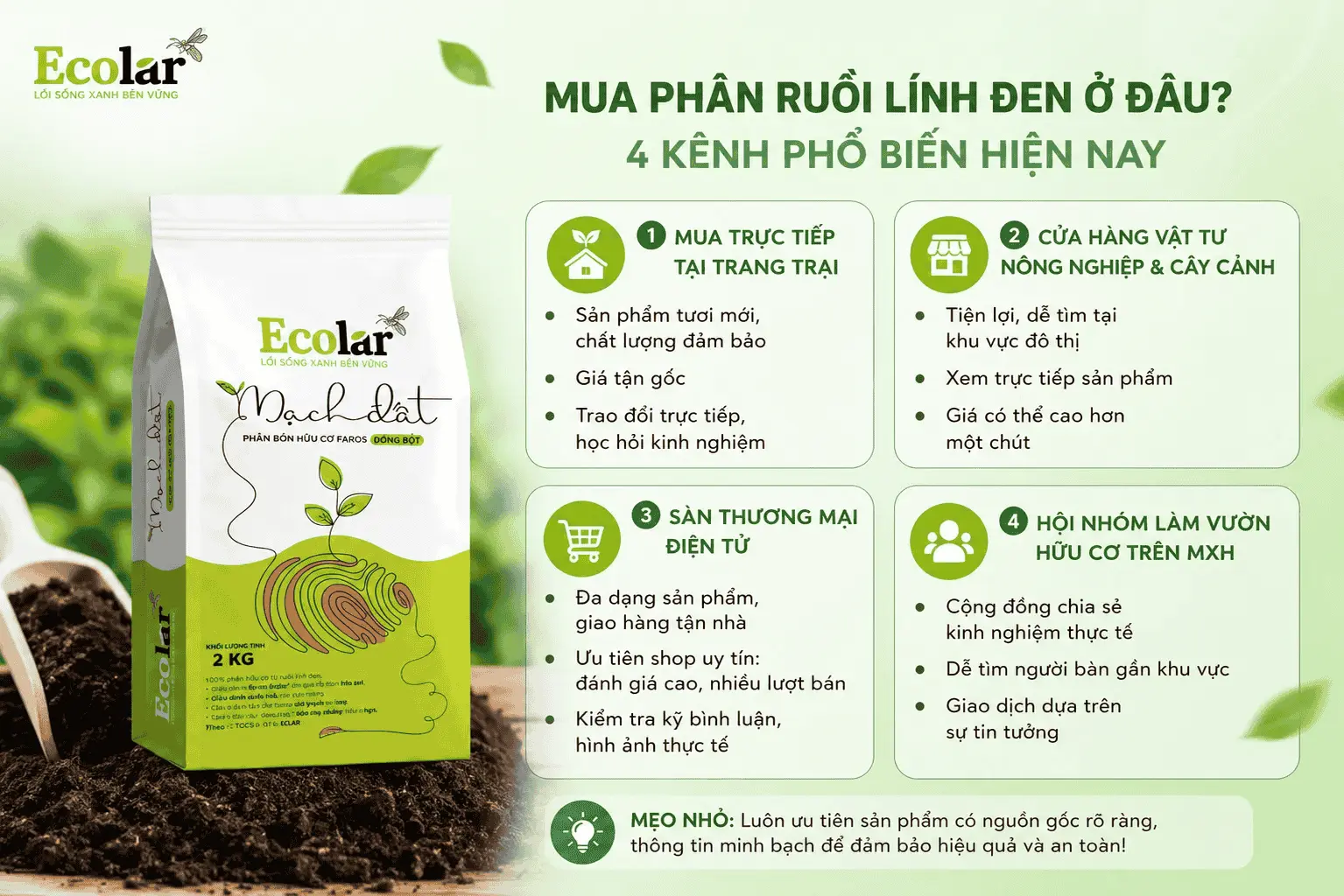 ien-phan-ruoi-linh-den-chat-luong-cao_1a2502add55f4b24a73260d2fcd86651 (1).webp
