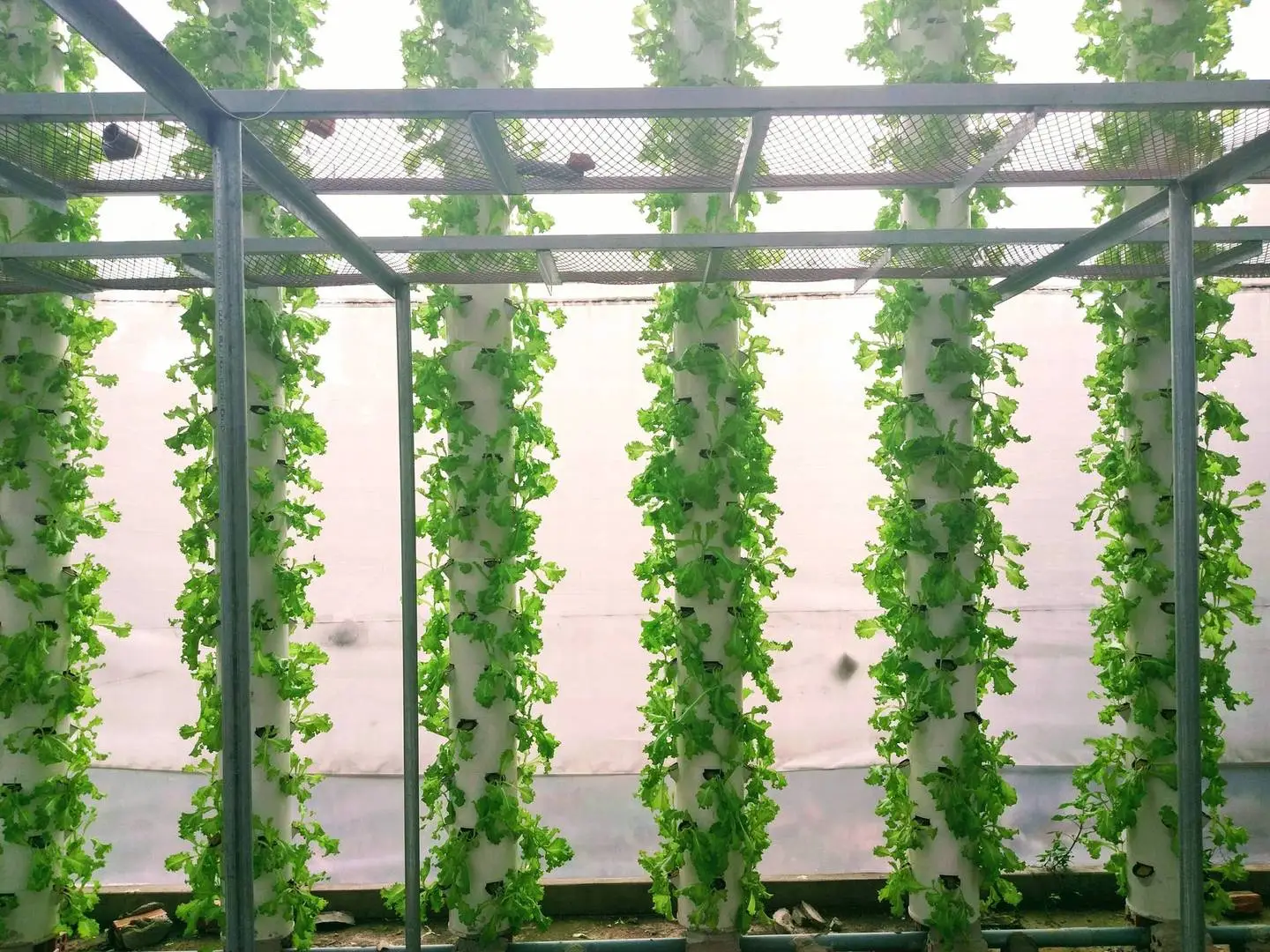 Khí canh trụ đứng