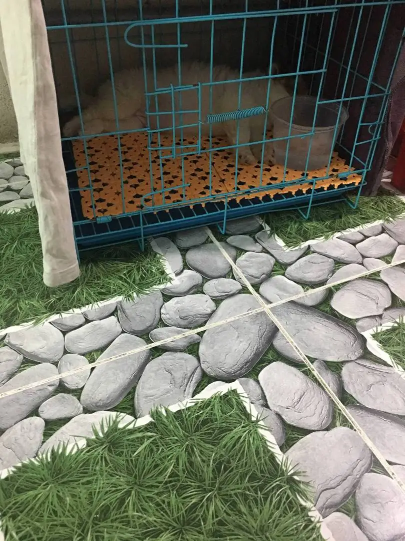 Chào các bác ạ .Giúp em với ạ