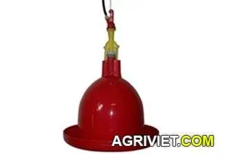 Nên dùng máng uống tự động nào chò gà?