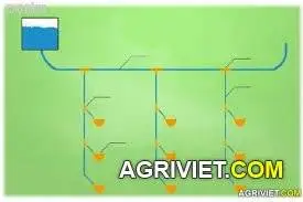 images.webp