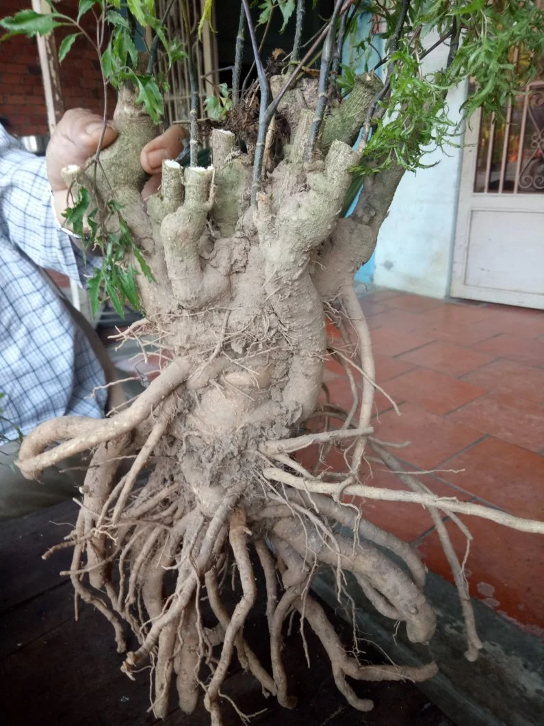 IMG20190128170922 (1).webp