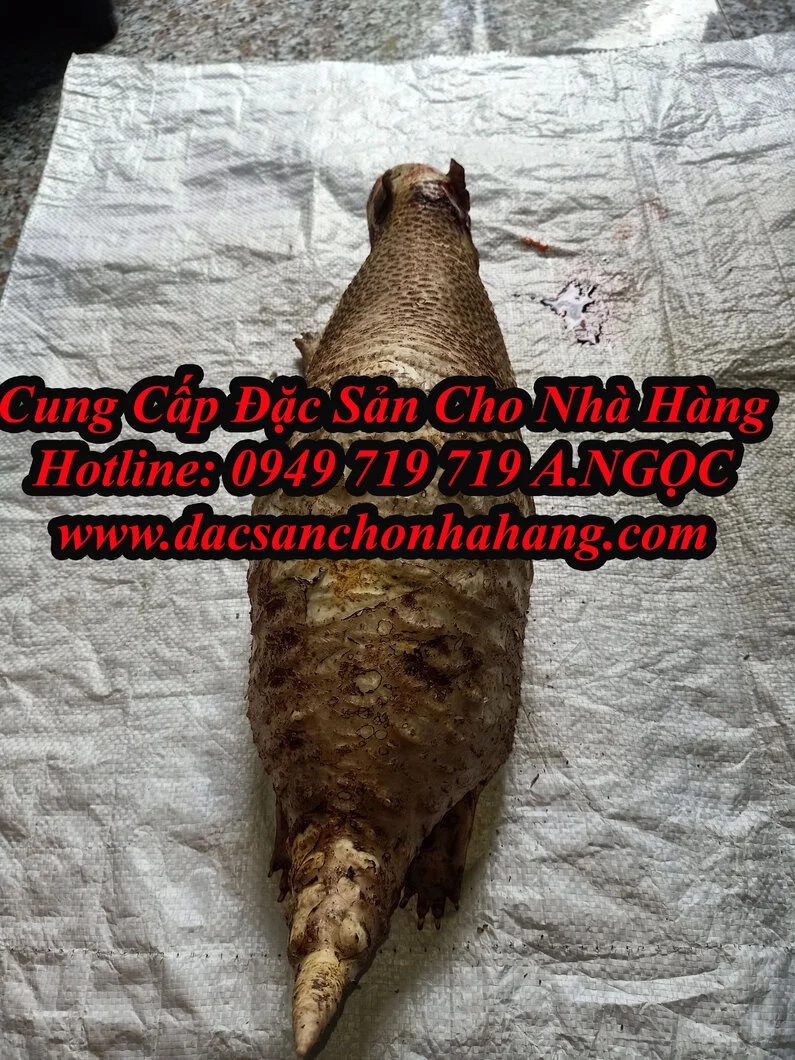 IMG20220825113325 copy.webp