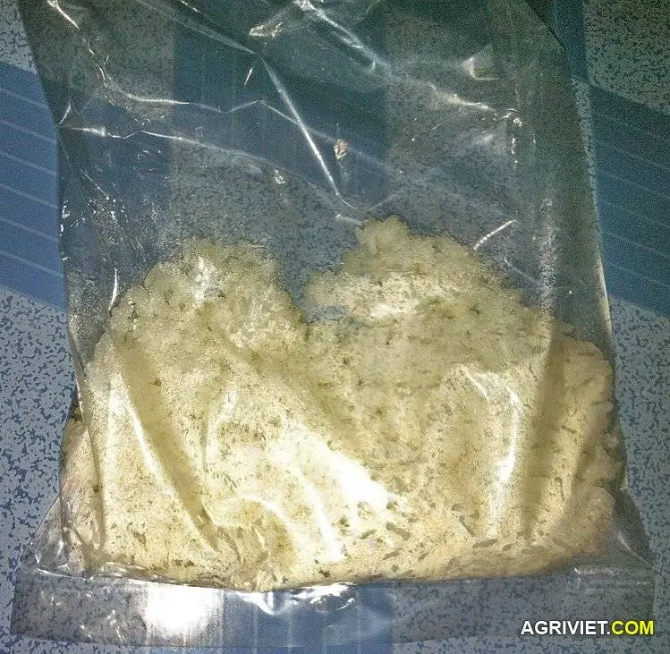 Cách làm nấm trichoderma tươi