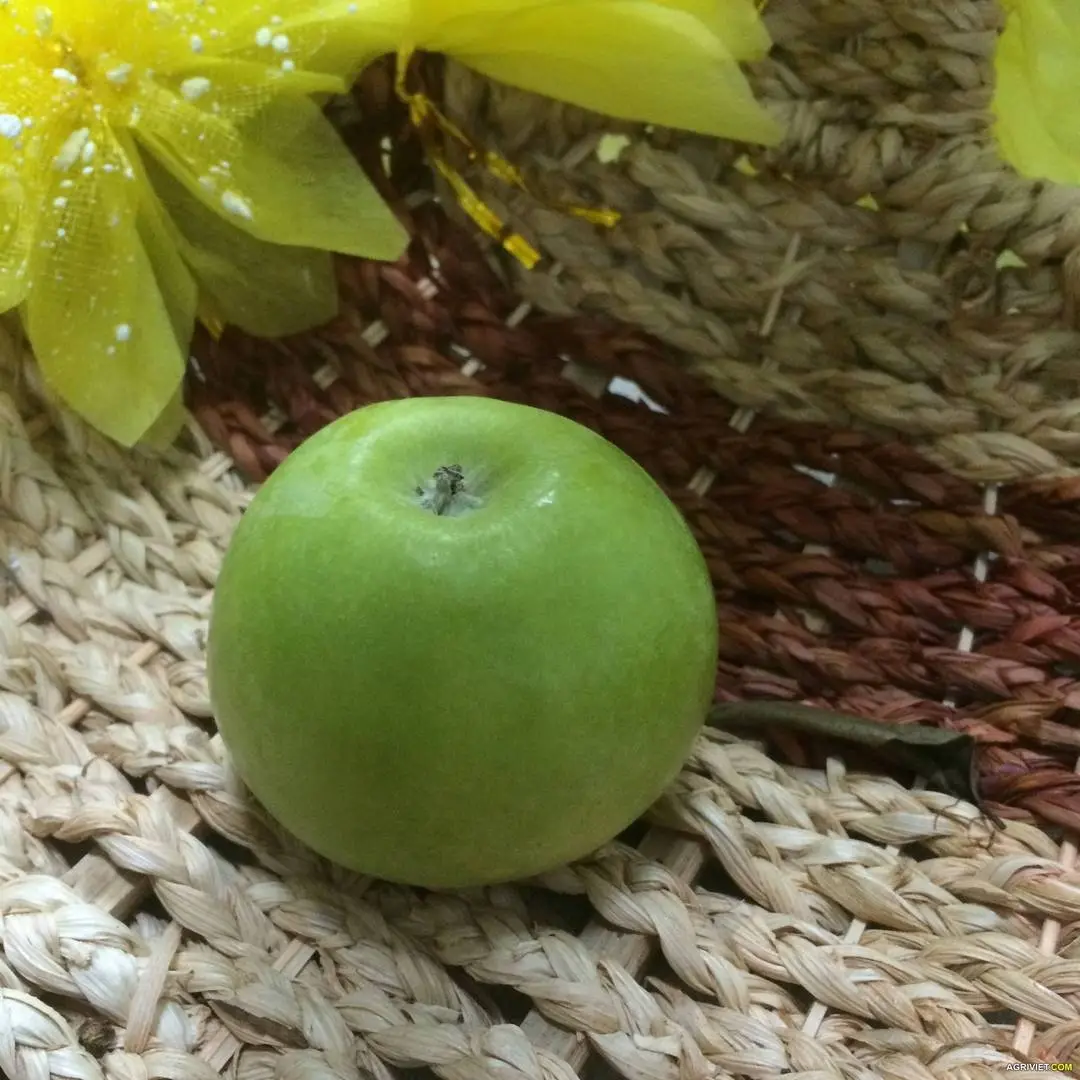 Có hay không có chất bảo quản ?