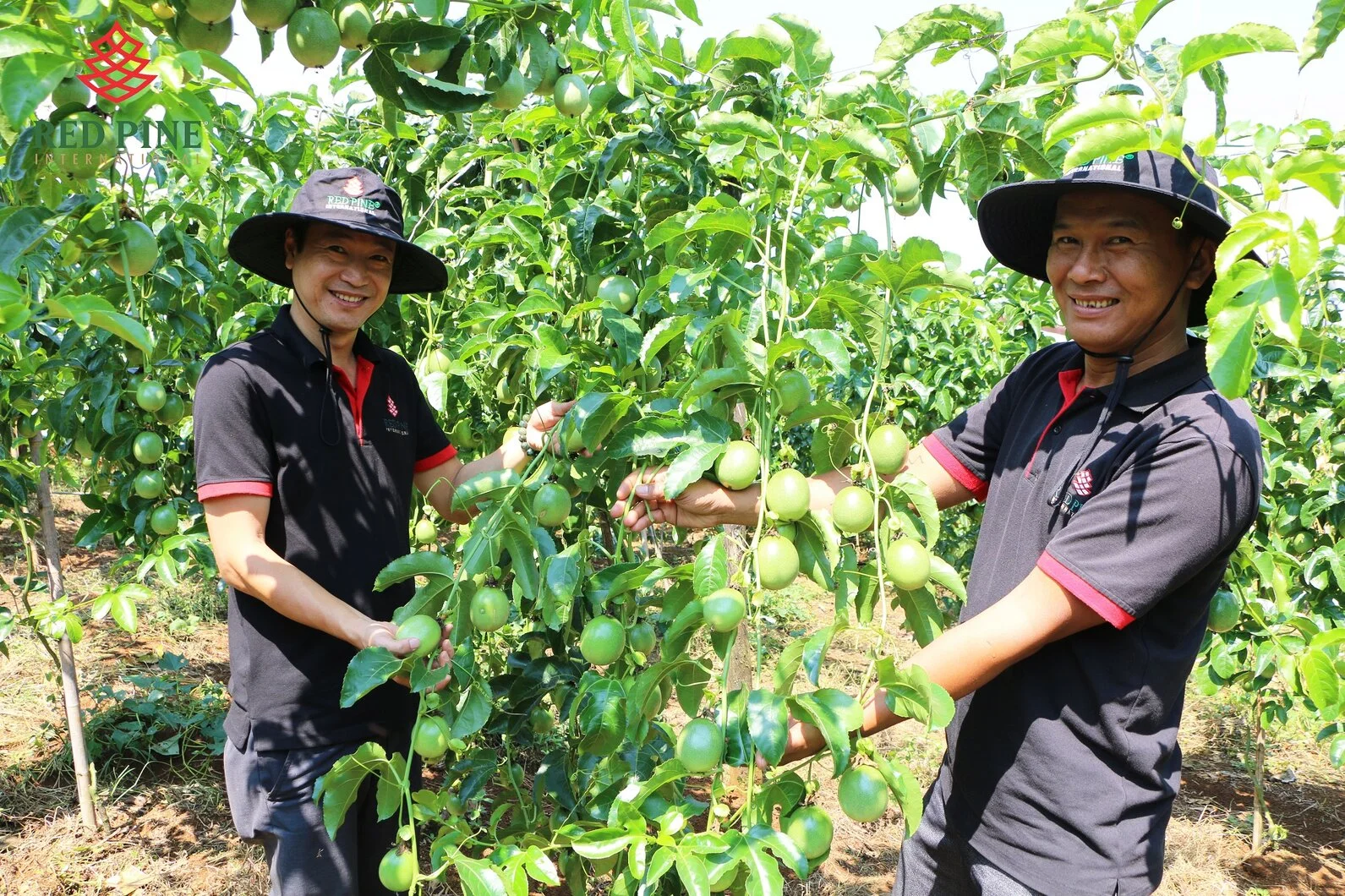 IMG_0753 - Copy.webp