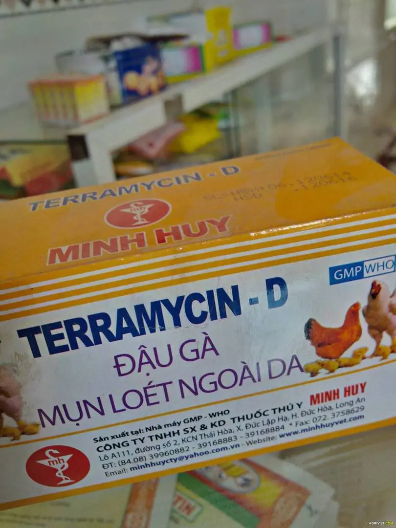 Nhờ các ace tư vấn thuốc trị bệnh đậu ga(terramycin D của Minh Huy)
