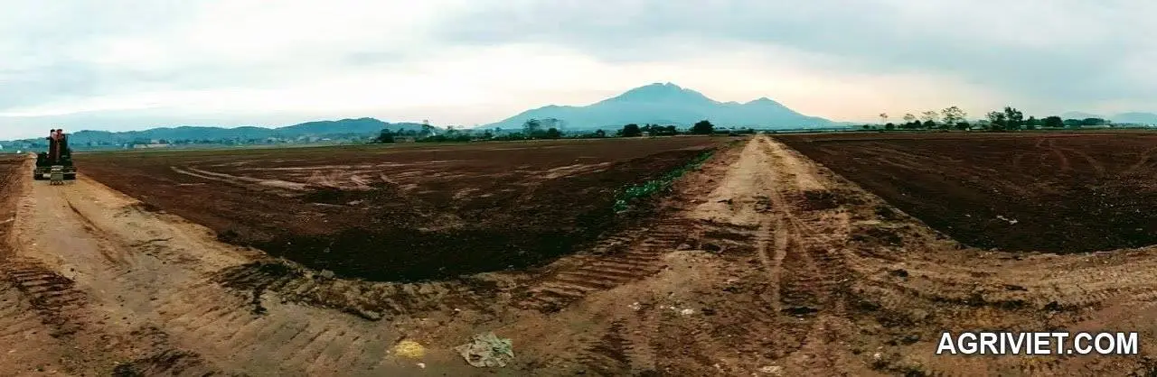 Thư mời hợp tác - đầu tư nông nghiệp!