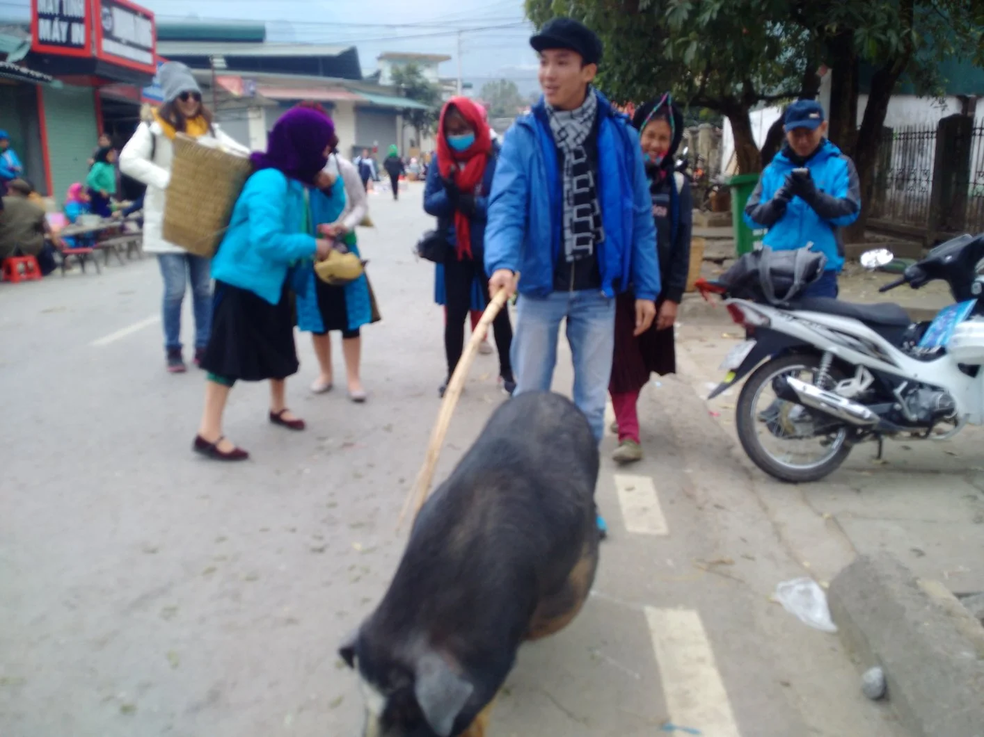 Hỏi về cách phun thuốc trừ sâu tự động cho cam sành