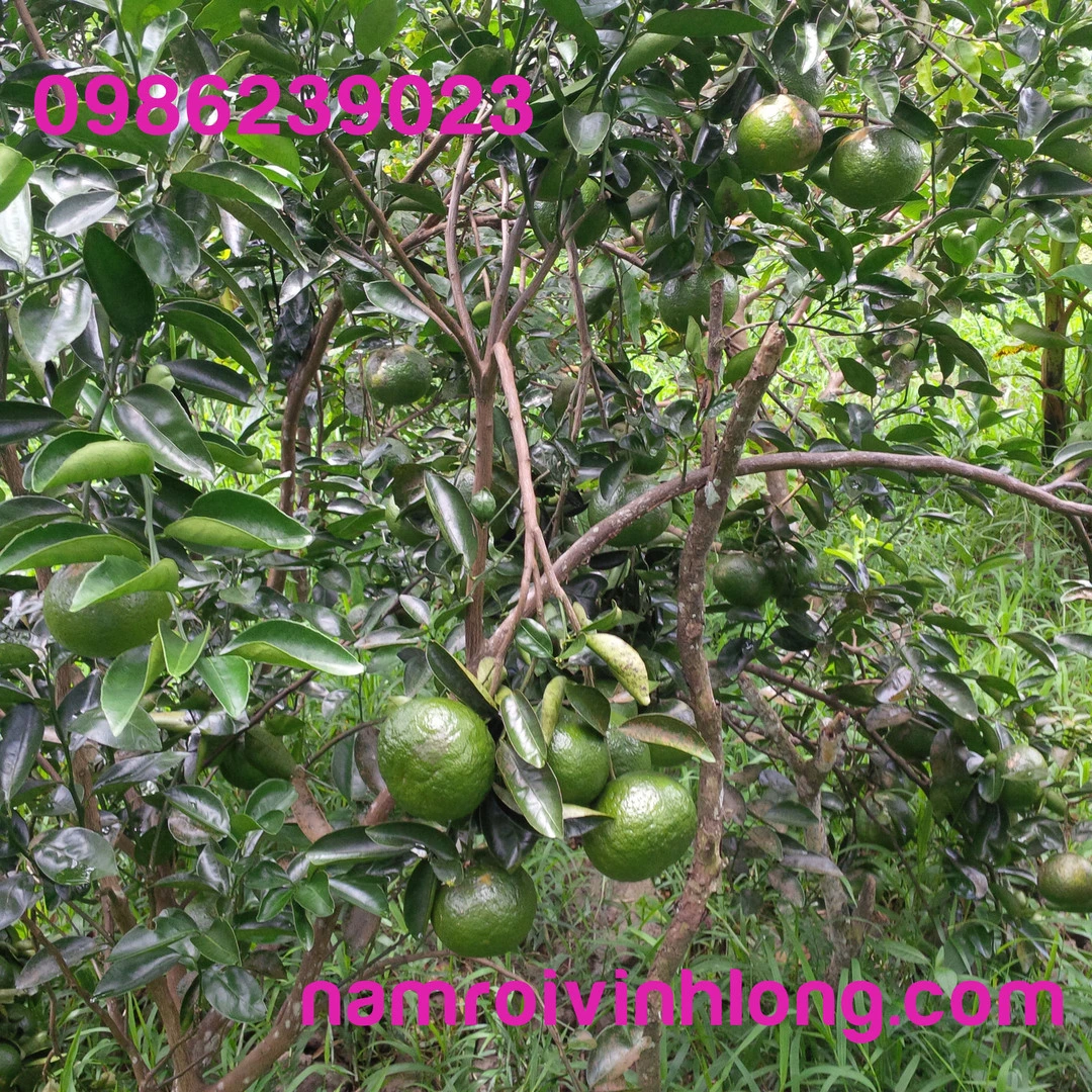 IMG_20180924_112119 copy.webp