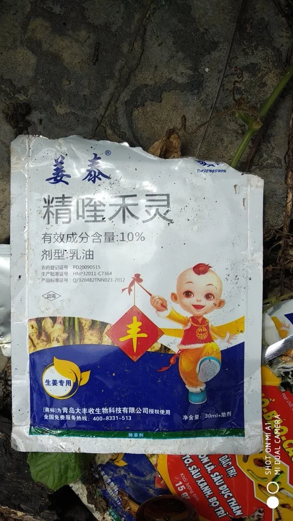 Thuốc trừ cỏ cho gừng