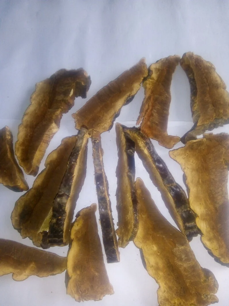 Linh Chi rừng thái lát 