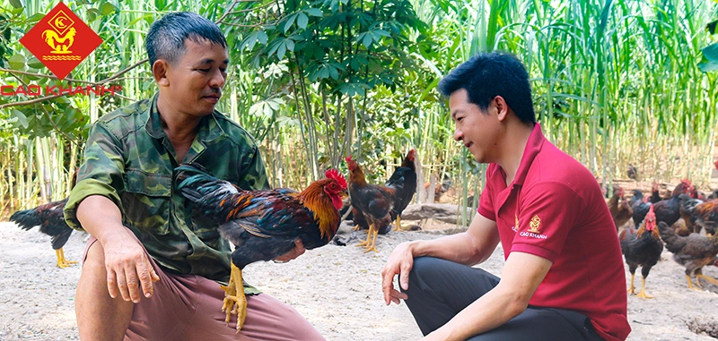 IMG_7209 11111111111-Recovered.webp