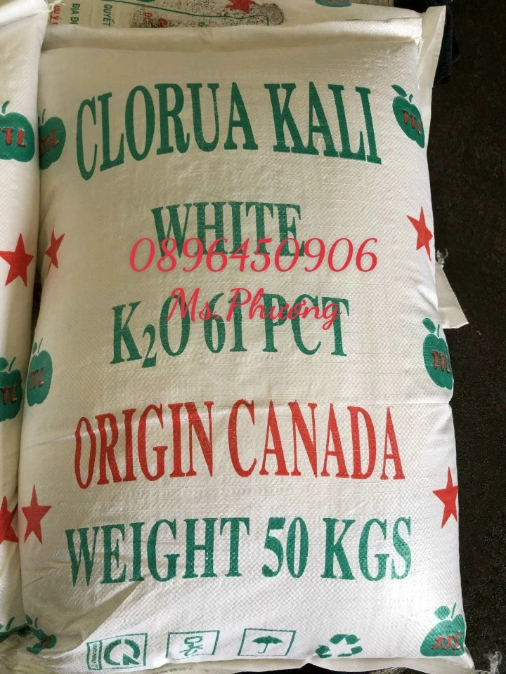 kali canada 1.webp