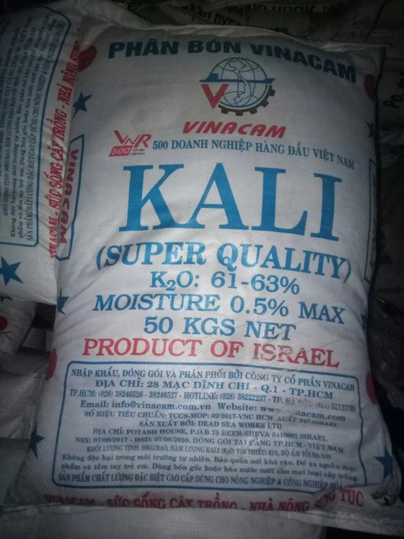 ^^^^^^^^kali israel.webp