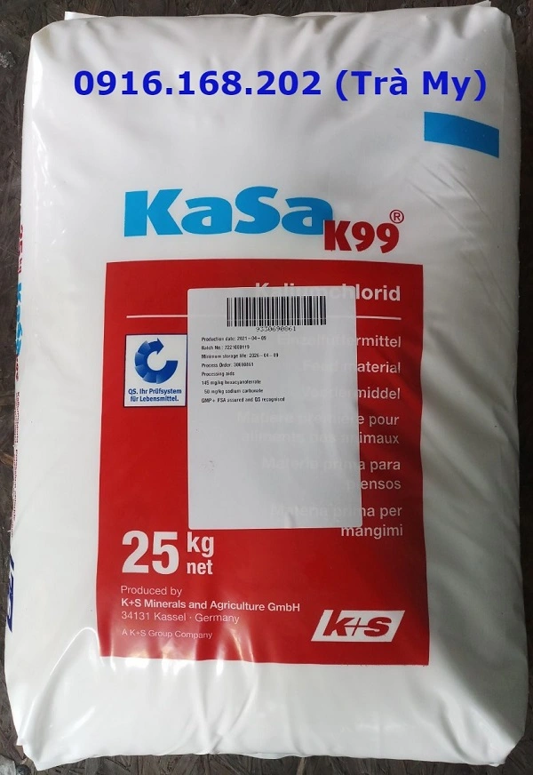 kasa99-kali-duc.webp