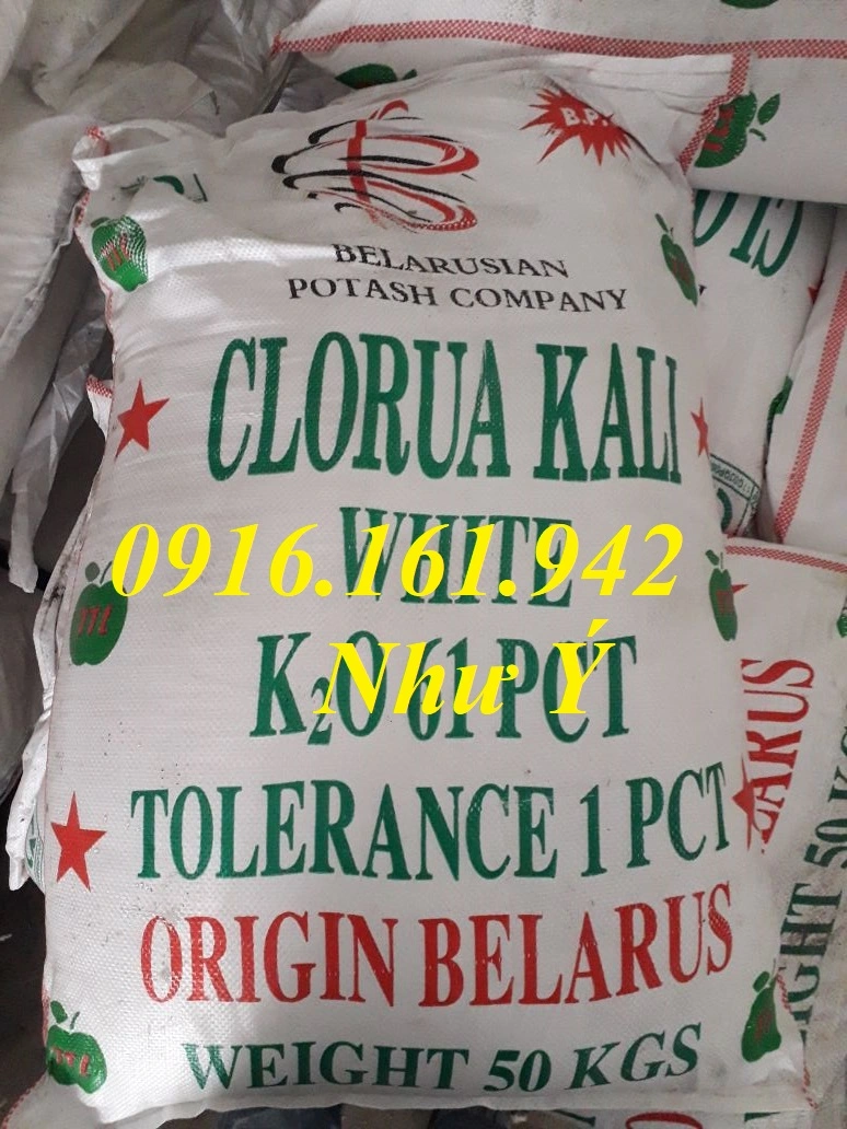 KCl trang, hiện giờ.webp