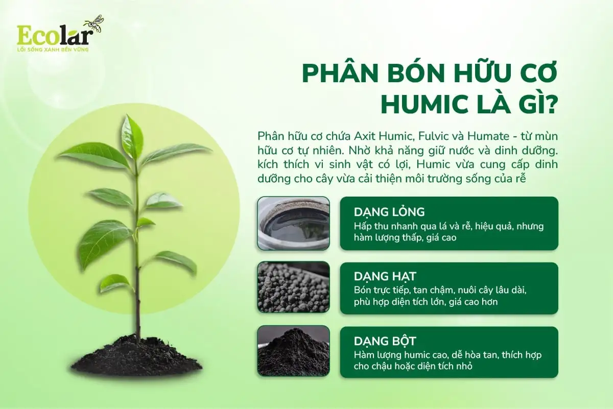 khái niệm humic.webp