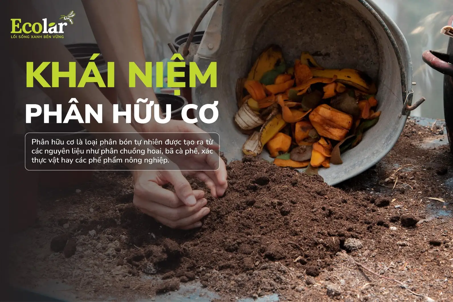 khai-niem-phan-huu-co_87921f5fd633445d9f53c2fc4d8cee11.webp