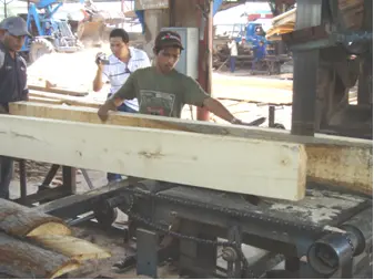 CẦN MUA GỖ Gáo vàng ( Thiên Ngân)