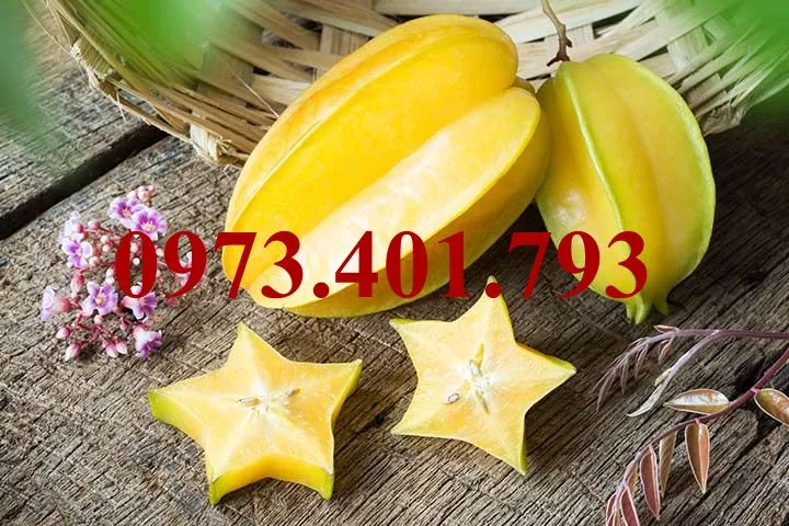 Khế ngọt3_result.webp