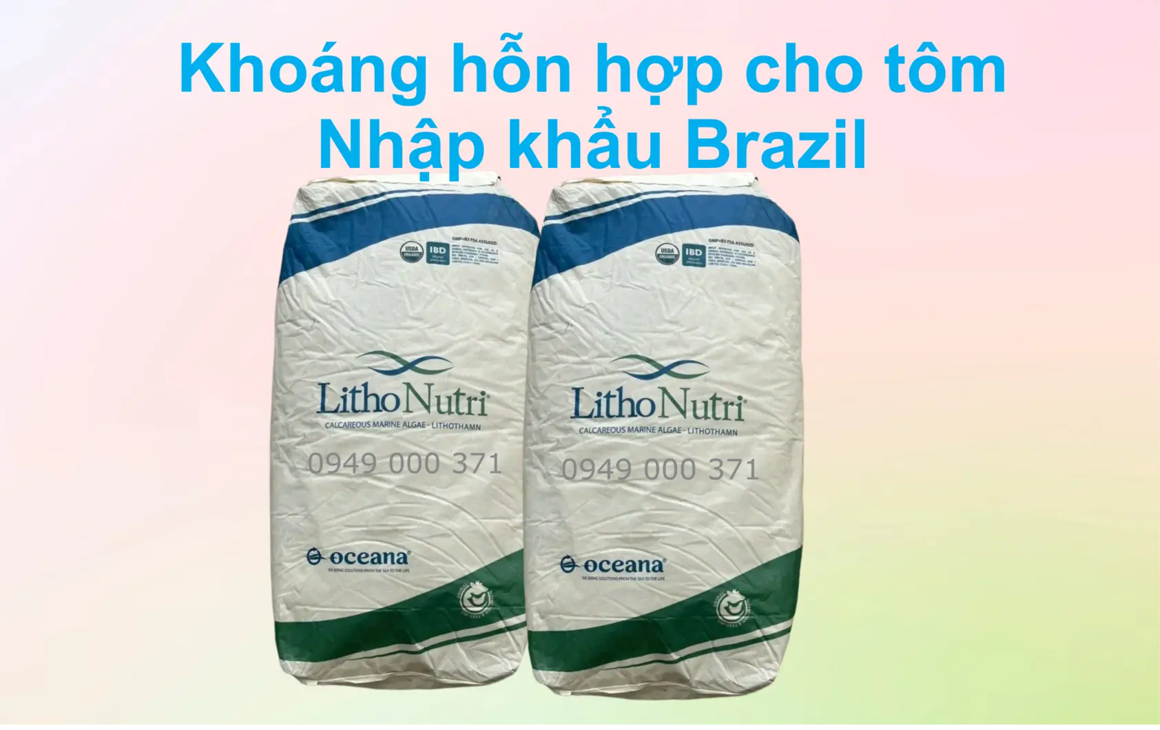 khoang-hon-hop-cho-tom.webp