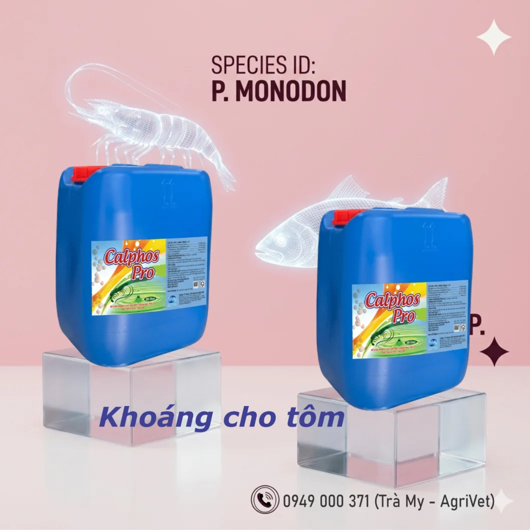 khoangchotom.webp