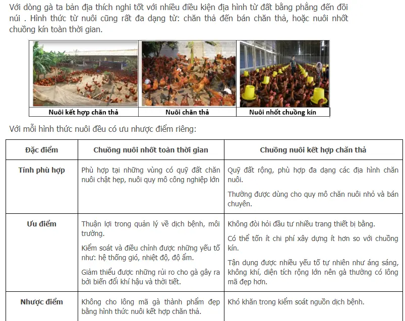 kỹ thuật xây dựng chuồng gà-01.webp
