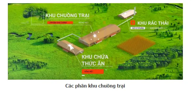 Kỹ thuật xây dựng chuồng gà tiết kiệm và hiệu quả