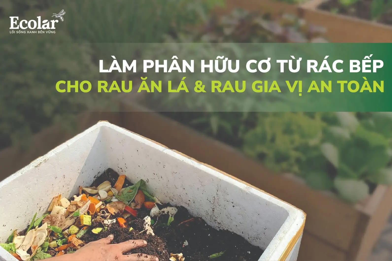 l-lam-phan-huu-co-tu-rac-bep-cho-rau-an-la-_-rau-gia-vi-an-toan-01__1__f9d918b7489c4e07a1375b...webp