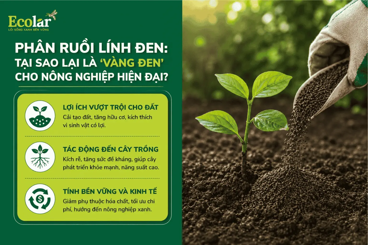 -la-vang-den-cho-nong-nghiep-hien-dai_c14676c86d9d4d478b431d514232d0b2 (1).webp