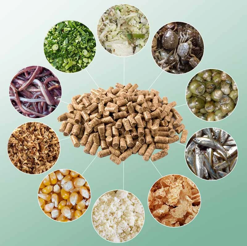 lam cam vien chan nuoi.webp